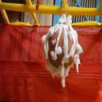 Vraj-Yatra-2014- (1479)